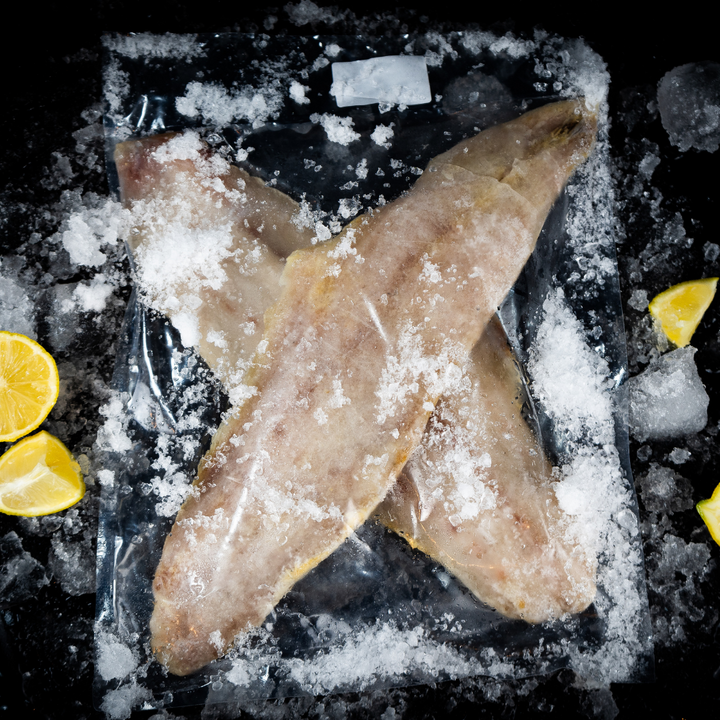 Corvina Filetes