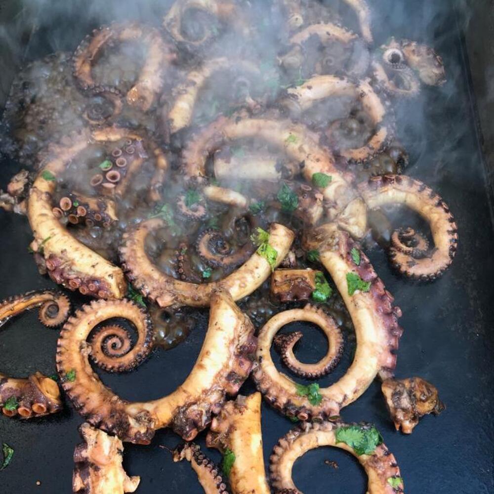 Pulpo del Sur Cocido