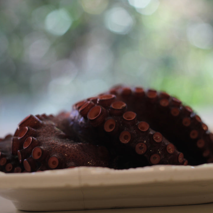 Pulpo del Sur Cocido